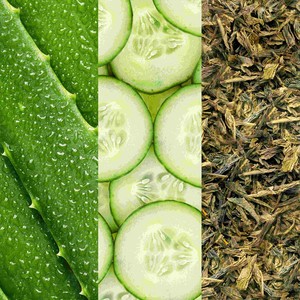 FACIAL SPRAY W/ ALOE, CUCUMBER & GREEN TEA, 59 ml