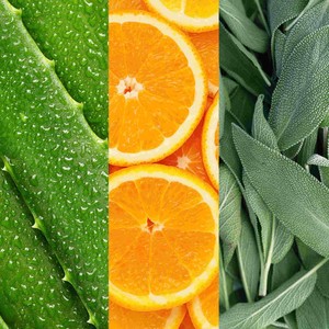 FACIAL SPRAY W/ ALOE, SAGE & ORANGE BLOSSOM, 59 ml