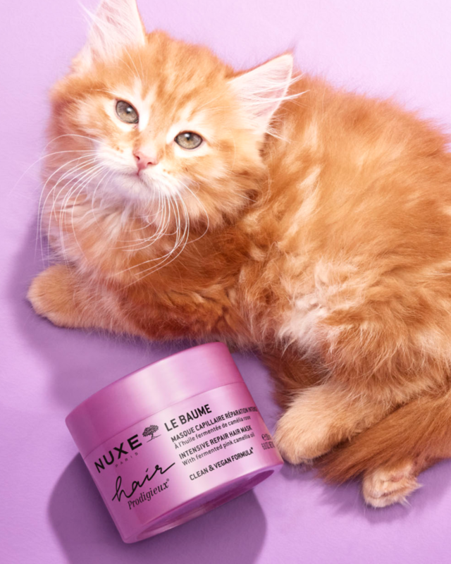 Artikli/POST_HAIR25-BALM-CAT-01x1350