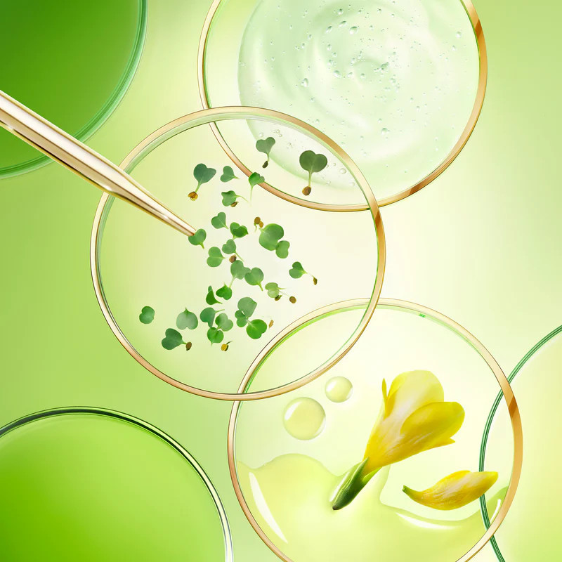 Artikli/VN065401-THE_GLOBAL_ANTI-AGING_CREAM_50MLx2000_9f2a7fc5-22fc-42b4-8e14-a84f717bb78