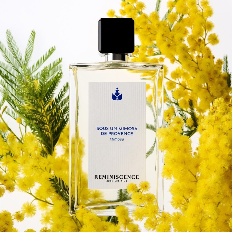 disave-za-zenske/parfum-mimosa-provence-floral-ambre-2_1