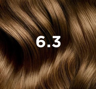 PHYTOCOLOR 6,3 DARK GOLDEN BLOND, 112 ml