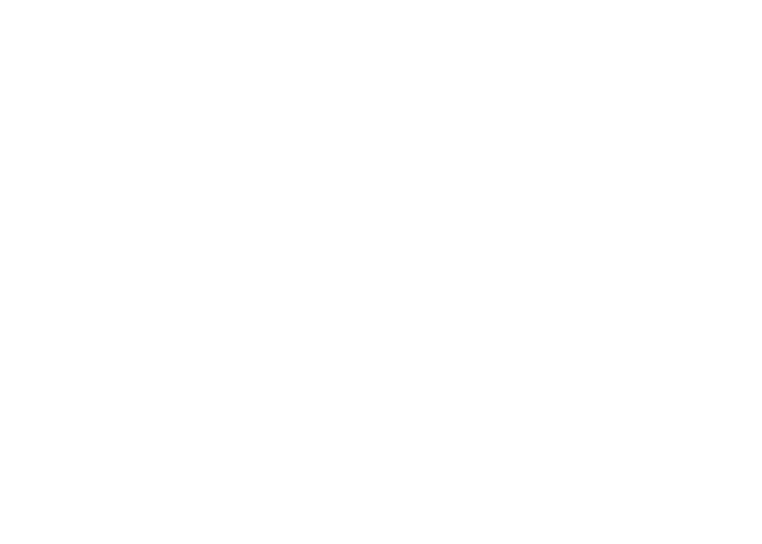 maxi