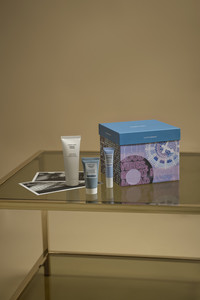 THE BUSTLING CITY - GIFT COLLECTION 2025